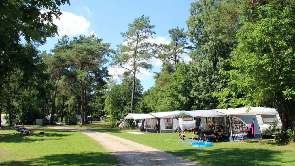 Riverside Camping Experience