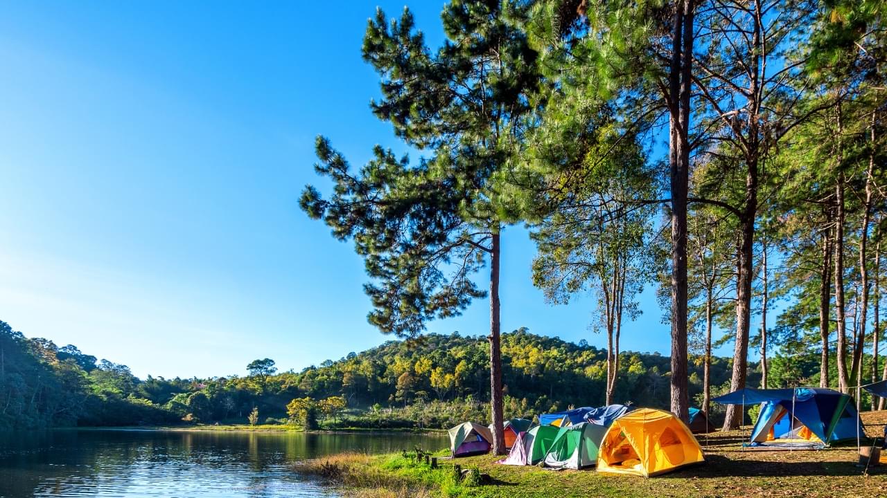 Riverside Camps in Rishikesh